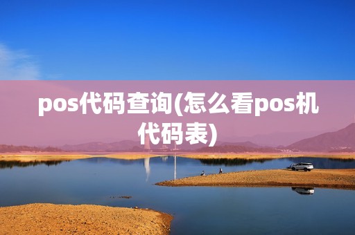 pos代码查询(怎么看pos机代码表)