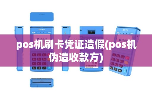 pos机刷卡凭证造假(pos机伪造收款方)