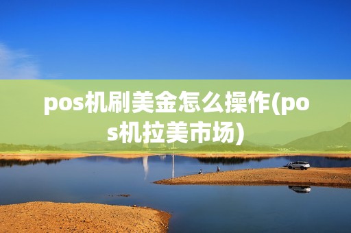 pos机刷美金怎么操作(pos机拉美市场)