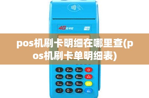 pos机刷卡明细在哪里查(pos机刷卡单明细表)