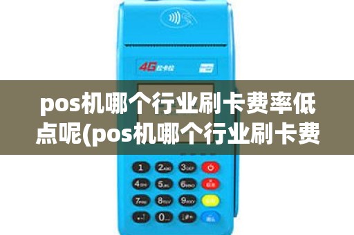 pos机哪个行业刷卡费率低点呢(pos机哪个行业刷卡费率低点)