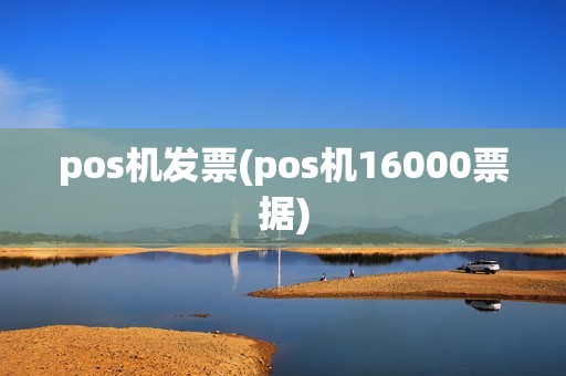 pos机发票(pos机16000票据)