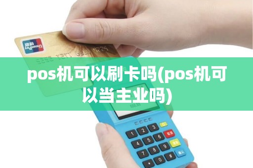 pos机可以刷卡吗(pos机可以当主业吗)