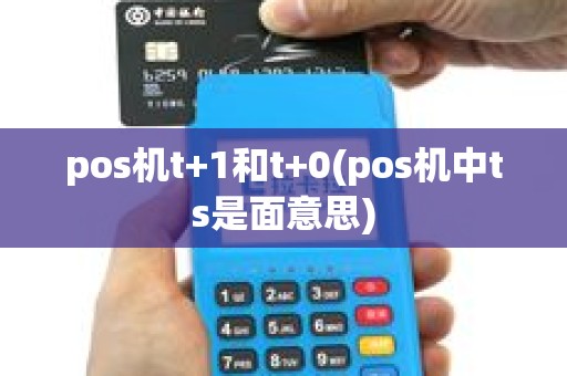 pos机t+1和t+0(pos机中ts是面意思)