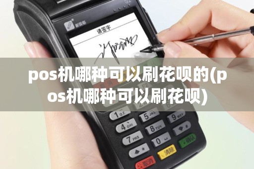 pos机哪种可以刷花呗的(pos机哪种可以刷花呗)