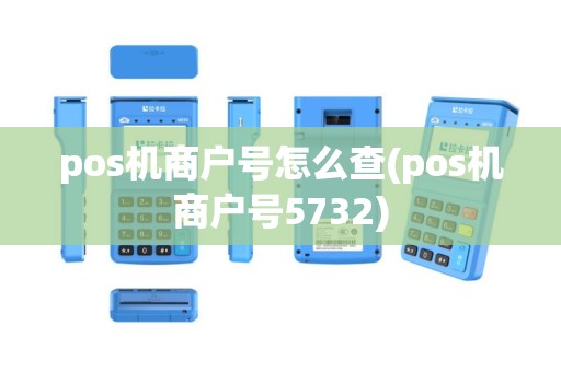 pos机商户号怎么查(pos机商户号5732)