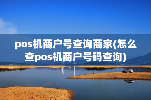 pos机商户号查询商家(怎么查pos机商户号码查询)