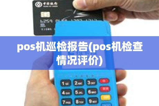 pos机巡检报告(pos机检查情况评价)