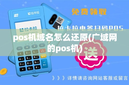 pos机域名怎么还原(广域网的pos机)