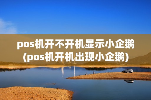 pos机开不开机显示小企鹅(pos机开机出现小企鹅)
