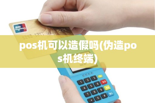 pos机可以造假吗(伪造pos机终端)