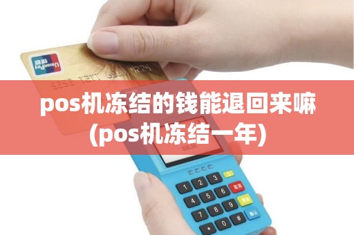 pos机冻结的钱能退回来嘛(pos机冻结一年)