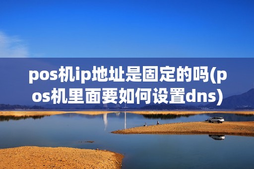 pos机ip地址是固定的吗(pos机里面要如何设置dns)