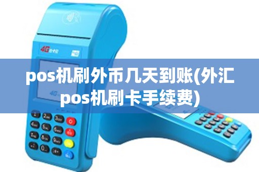 pos机刷外币几天到账(外汇pos机刷卡手续费)