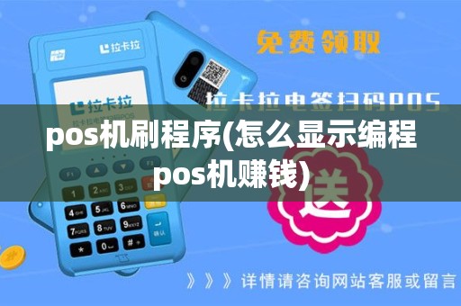 pos机刷程序(怎么显示编程pos机赚钱)