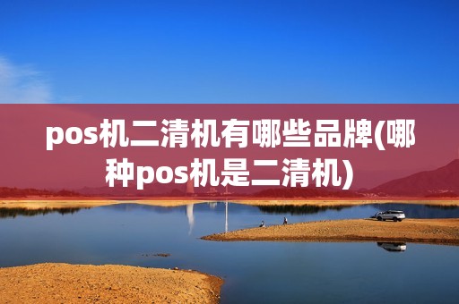 pos机二清机有哪些品牌(哪种pos机是二清机)
