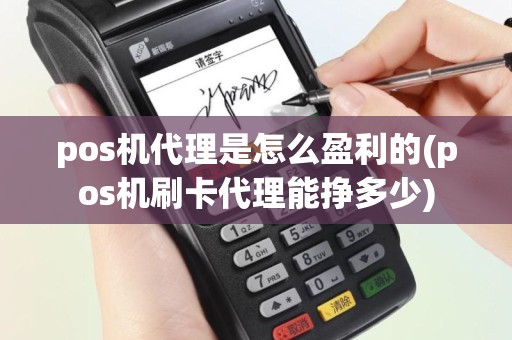 pos机代理是怎么盈利的(pos机刷卡代理能挣多少)