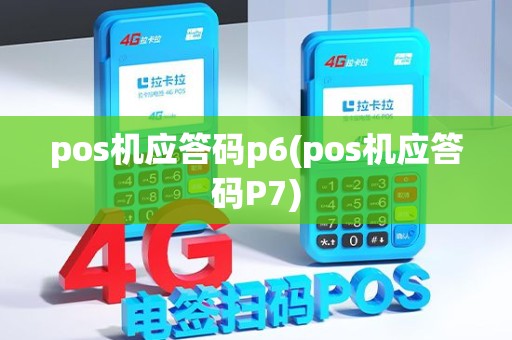 pos机应答码p6(pos机应答码P7)
