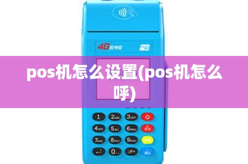 pos机怎么设置(pos机怎么呼)