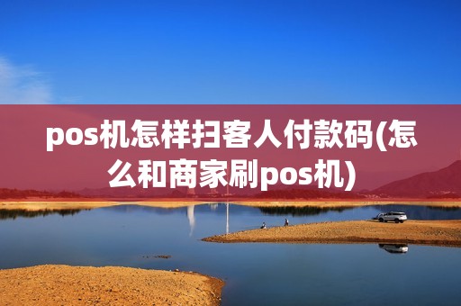 pos机怎样扫客人付款码(怎么和商家刷pos机)