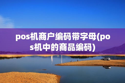pos机商户编码带字母(pos机中的商品编码)