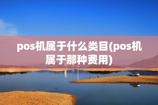 pos机属于什么类目(pos机属于那种费用)
