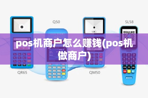 pos机商户怎么赚钱(pos机做商户)