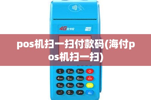 pos机扫一扫付款码(海付pos机扫一扫)