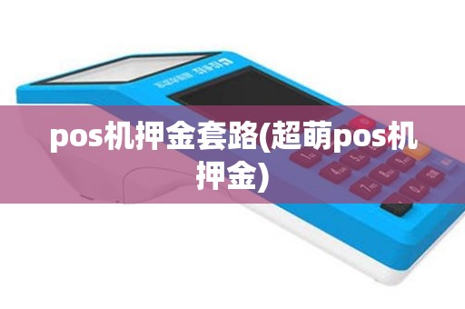 pos机押金套路(超萌pos机押金)