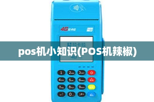 pos机小知识(POS机辣椒)