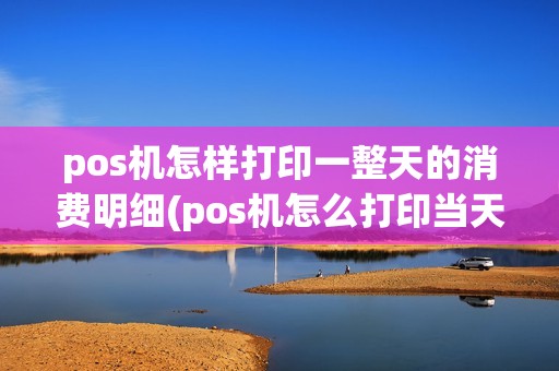 pos机怎样打印一整天的消费明细(pos机怎么打印当天明细)