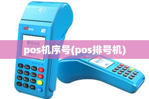 pos机序号(pos排号机)