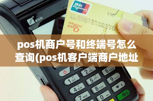 pos机商户号和终端号怎么查询(pos机客户端商户地址)