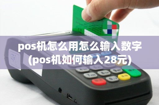 pos机怎么用怎么输入数字(pos机如何输入28元)