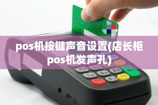 pos机按键声音设置(店长柜pos机发声孔)