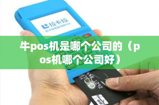 牛pos机是哪个公司的（pos机哪个公司好）