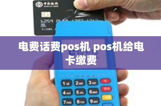 电费话费pos机 pos机给电卡缴费