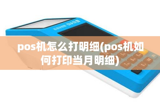 pos机怎么打明细(pos机如何打印当月明细)