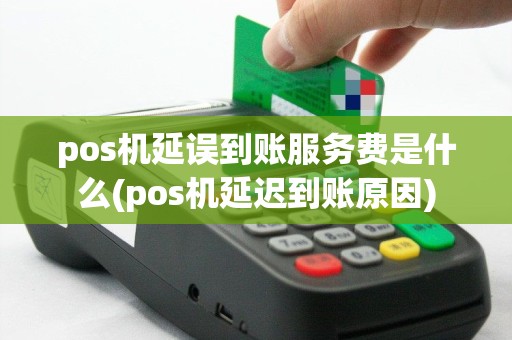pos机延误到账服务费是什么(pos机延迟到账原因)