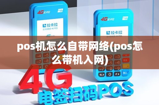 pos机怎么自带网络(pos怎么带机入网)
