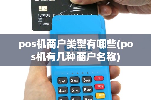 pos机商户类型有哪些(pos机有几种商户名称)