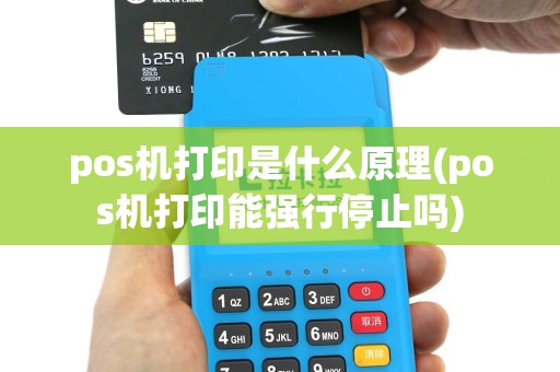 pos机打印是什么原理(pos机打印能强行停止吗)