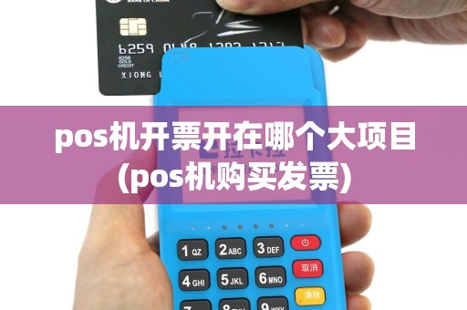 pos机开票开在哪个大项目(pos机购买发票)