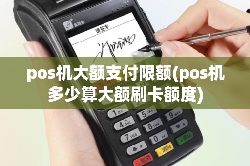 pos机大额支付限额(pos机多少算大额刷卡额度)