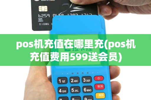 pos机充值在哪里充(pos机充值费用599送会员)