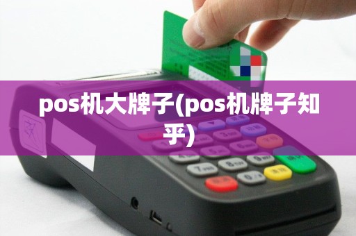 pos机大牌子(pos机牌子知乎)