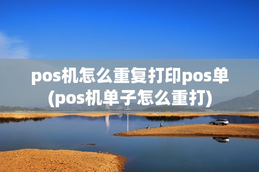 pos机怎么重复打印pos单(pos机单子怎么重打)