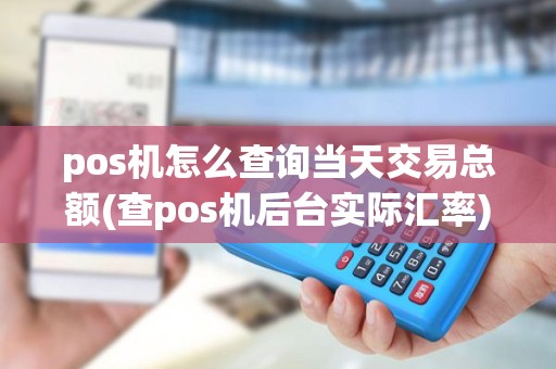 pos机怎么查询当天交易总额(查pos机后台实际汇率)