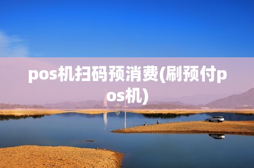 pos机扫码预消费(刷预付pos机)
