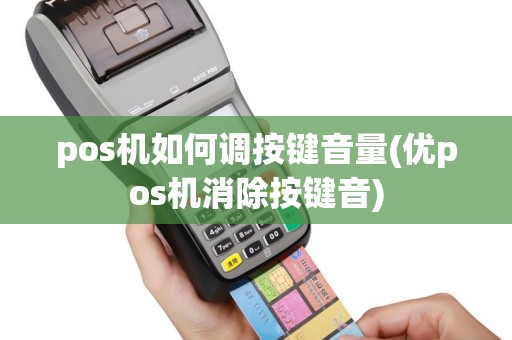 pos机如何调按键音量(优pos机消除按键音)